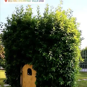 Oasi Bed & Breakfast San Giuliano Terme